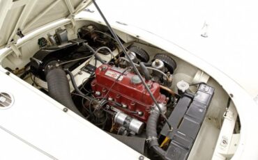 Mg-Mga-1958-Old-English-White-Black-15