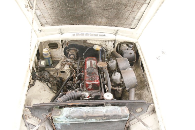 Mg-Mgb-1964-Old-English-White-Red-13