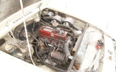 Mg-Mgb-1964-Old-English-White-Red-14