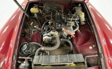 Mg-Mgb-1977-Damask-Red-Black-16