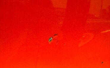 Mg-Mgb-1979-Orange-Black-27