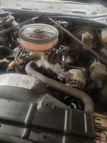 Oldsmobile-442-1973-Eclipse-Blue-White-16