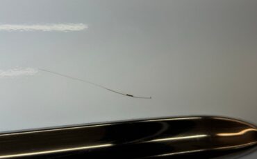 Oldsmobile-88-1955-Polar-White-Green-10