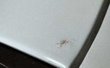 Oldsmobile-88-1955-Polar-White-Green-11