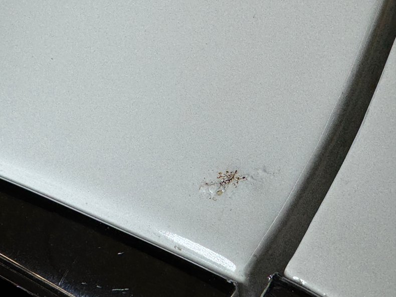 Oldsmobile-88-1955-Polar-White-Green-11