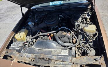 Oldsmobile-cutlass-supreme-1982-13