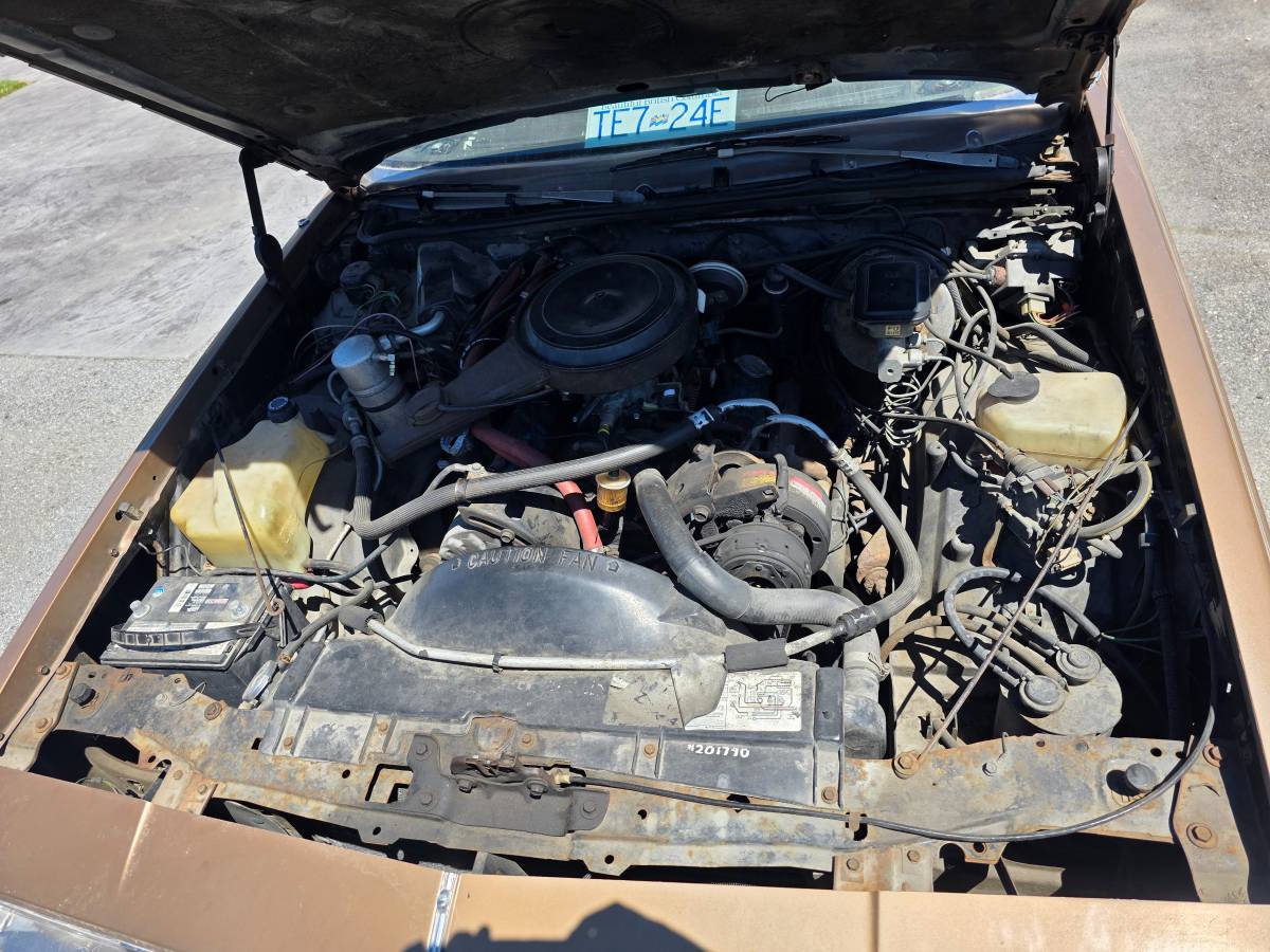 Oldsmobile-cutlass-supreme-1982-13