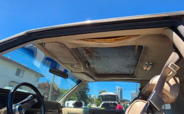 Oldsmobile-cutlass-supreme-1982-9