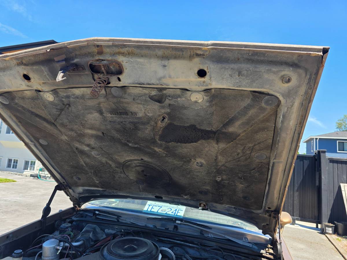 Oldsmobile-cutlass-supreme-1982