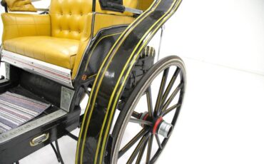 Other-makes-Other-1950-Black-Gold-41