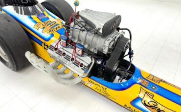 Other-makes-Other-1969-Yellow-Black-22