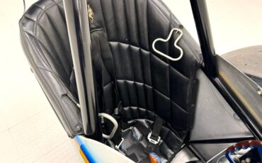 Other-makes-Other-1969-Yellow-Black-3