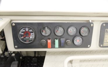 Other-makes-Other-1976-Desert-Tan-Beige-3