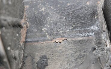 Packard-200-1951-Purple-Metallic-Gray-47