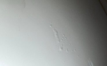 Packard-Other-1936-Packard-Cream-Tan-25