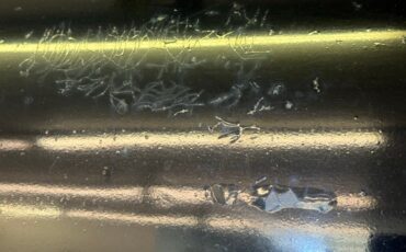 Packard-Other-1949-Black-Beige-25