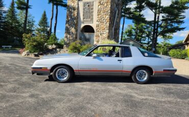 Pontiac-22-1986-Silver-Grey-1