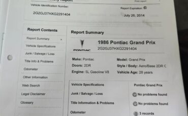 Pontiac-22-1986-Silver-Grey-11