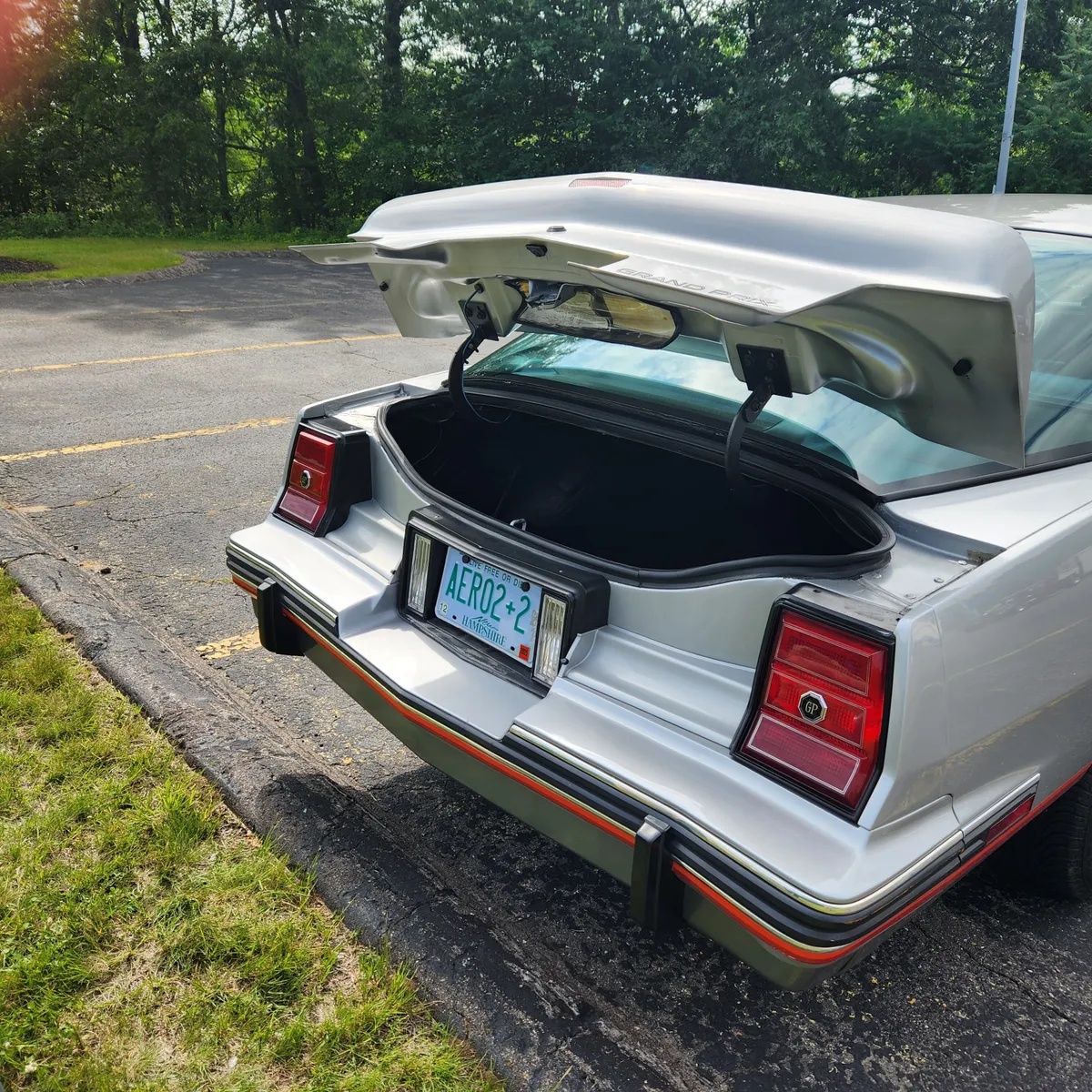 Pontiac-22-1986-Silver-Grey-17
