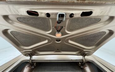 Pontiac-Catalina-1959-Canyon-Copper-Brown-18