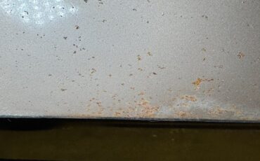 Pontiac-Catalina-1959-Canyon-Copper-Brown-29