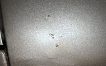 Pontiac-Catalina-1959-Canyon-Copper-Brown-33