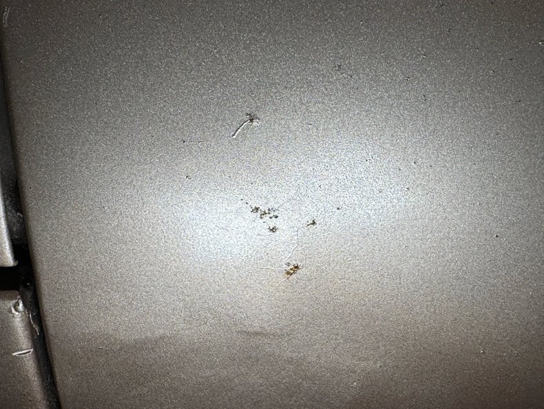 Pontiac-Catalina-1959-Canyon-Copper-Brown-33