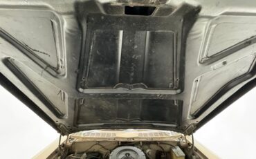 Pontiac-Catalina-1959-Canyon-Copper-Brown-34