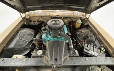 Pontiac-Catalina-1959-Canyon-Copper-Brown-36