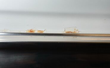 Pontiac-Catalina-1964-Cameo-Ivory-Dark-Blue-18