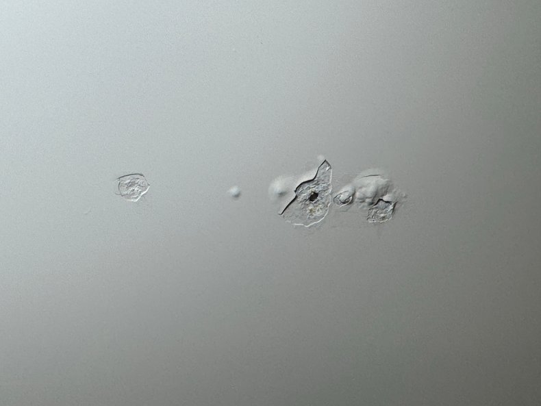 Pontiac-Catalina-1964-Cameo-Ivory-Dark-Blue-23