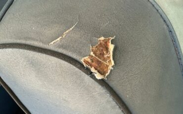 Pontiac-Catalina-1964-Cameo-Ivory-Dark-Blue-39