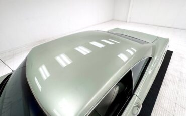 Pontiac-Executive-1968-Springmist-Green-White-14