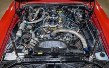 Pontiac-Firebird-1968-Red-White-5