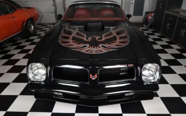 Pontiac-Firebird-1976-Starlight-Black-Red-35