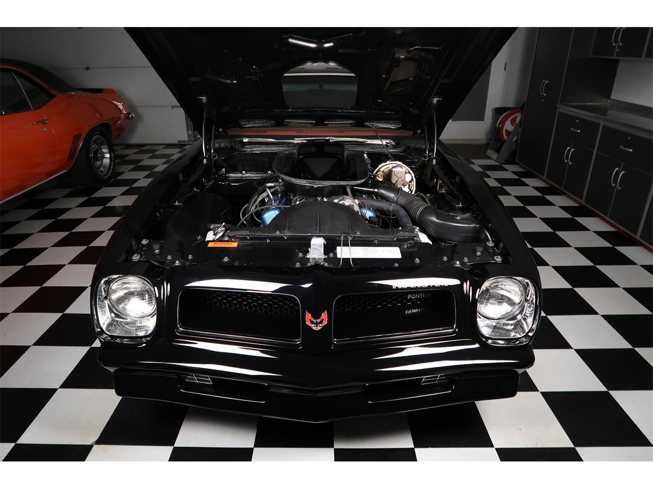 Pontiac-Firebird-1976-Starlight-Black-Red-36