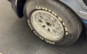 Pontiac-Firebird-1981-Nightwatch-Blue-Dark-Blue-15