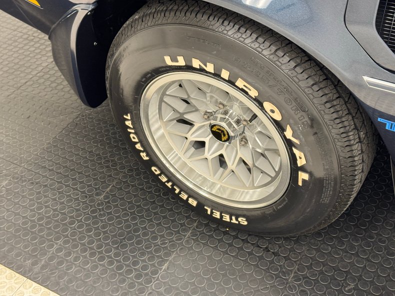 Pontiac-Firebird-1981-Nightwatch-Blue-Dark-Blue-15