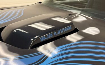 Pontiac-Firebird-1981-Nightwatch-Blue-Dark-Blue-16