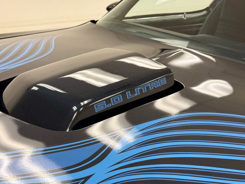 Pontiac-Firebird-1981-Nightwatch-Blue-Dark-Blue-16