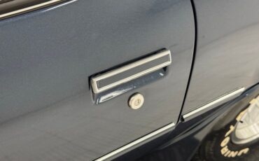 Pontiac-Firebird-1981-Nightwatch-Blue-Dark-Blue-20