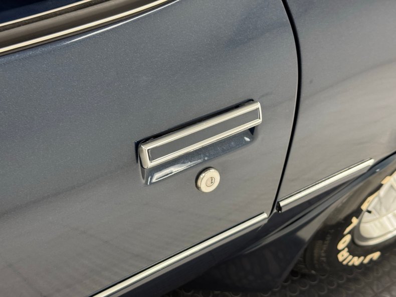 Pontiac-Firebird-1981-Nightwatch-Blue-Dark-Blue-20