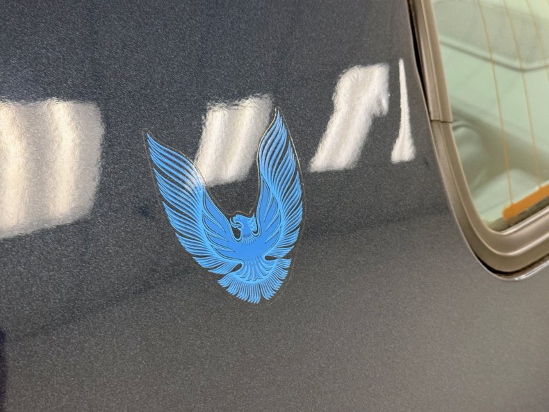 Pontiac-Firebird-1981-Nightwatch-Blue-Dark-Blue-21