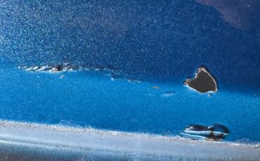 Pontiac-Firebird-1981-Nightwatch-Blue-Dark-Blue-26