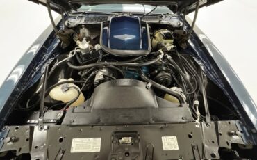 Pontiac-Firebird-1981-Nightwatch-Blue-Dark-Blue-40