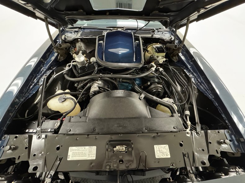 Pontiac-Firebird-1981-Nightwatch-Blue-Dark-Blue-40