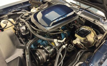 Pontiac-Firebird-1981-Nightwatch-Blue-Dark-Blue-41