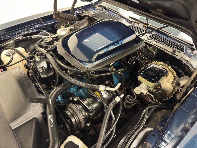 Pontiac-Firebird-1981-Nightwatch-Blue-Dark-Blue-41