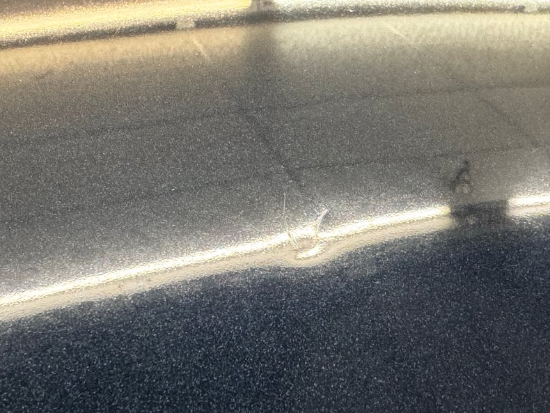 Pontiac-Firebird-1981-Nightwatch-Blue-Dark-Blue-5