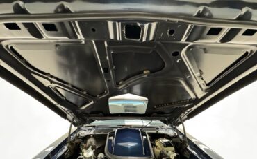 Pontiac-Firebird-1981-Nightwatch-Blue-Dark-Blue-7